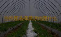 当然是选择原谅他是什么梗 